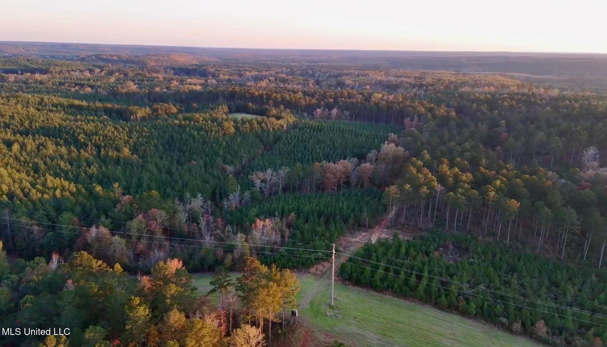 1992 Peavy Road South Chunky, MS 39323 - Photo 42 of 80 IMG_1550