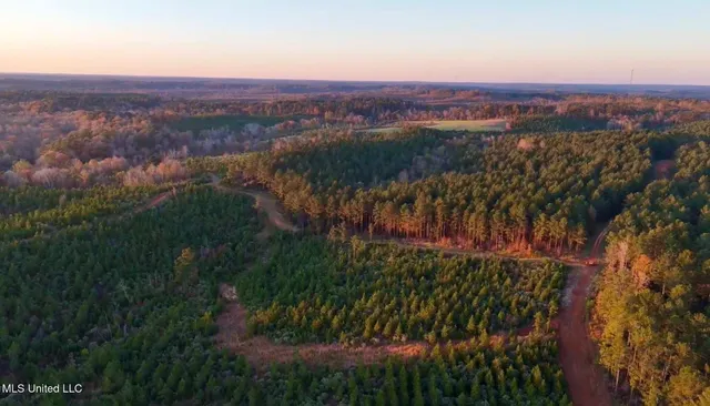 $4,199,000 | 1992 Peavy Road South, Chunky, MS 39323