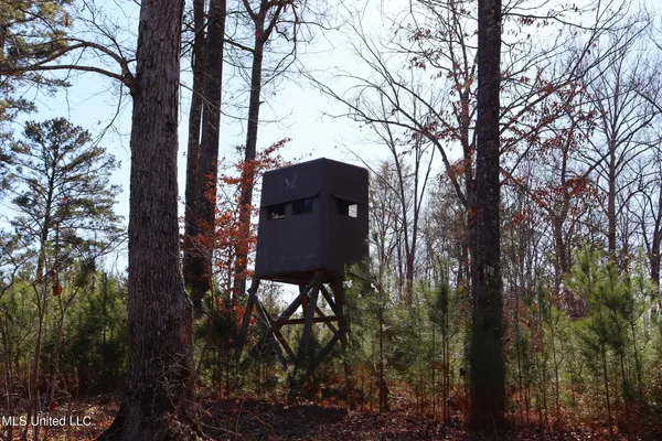 $4,199,000 | 1992 Peavy Road South, Chunky, MS 39323