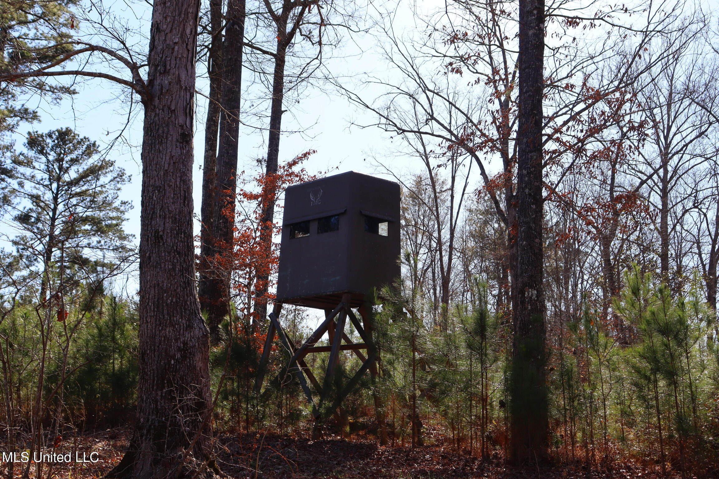 1992 Peavy Road South Chunky, MS 39323 - Photo 48 of 80 IMG_4491