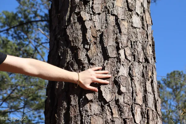 $4,199,000 | 1992 Peavy Road South, Chunky, MS 39323