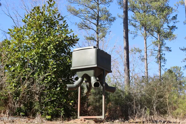 $4,199,000 | 1992 Peavy Road South, Chunky, MS 39323