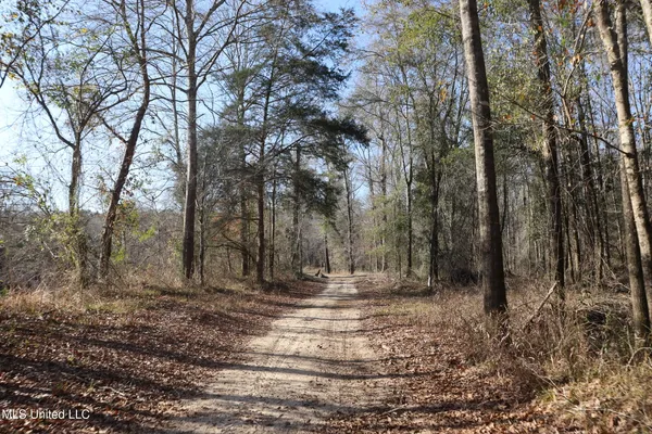 $4,199,000 | 1992 Peavy Road South, Chunky, MS 39323