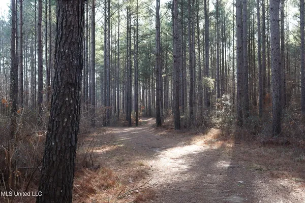 $4,199,000 | 1992 Peavy Road South, Chunky, MS 39323