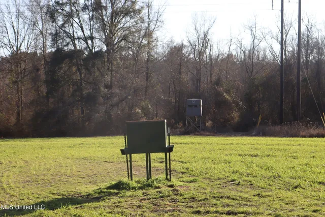 $4,199,000 | 1992 Peavy Road South, Chunky, MS 39323