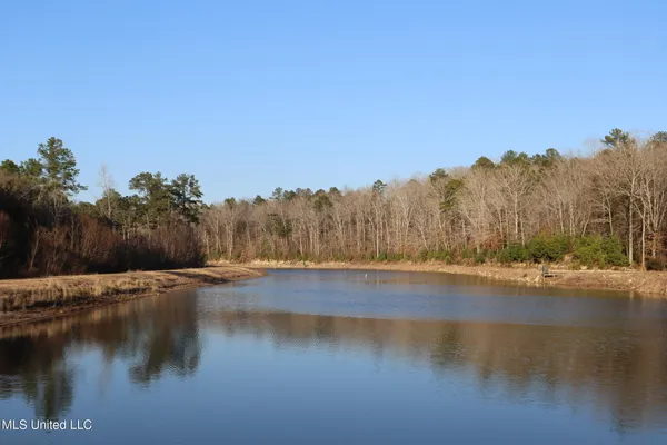 $4,199,000 | 1992 Peavy Road South, Chunky, MS 39323