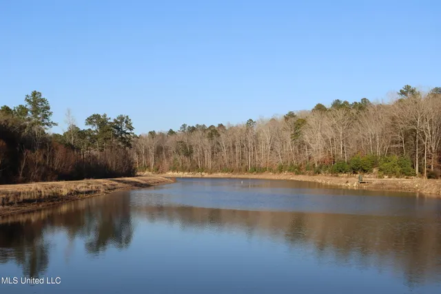 $4,199,000 | 1992 Peavy Road South, Chunky, MS 39323