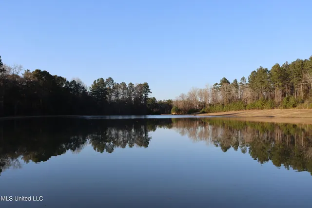 $4,199,000 | 1992 Peavy Road South, Chunky, MS 39323