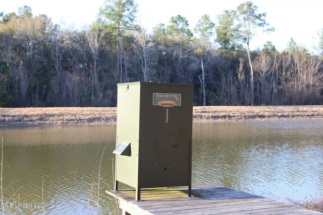 $4,199,000 | 1992 Peavy Road South, Chunky, MS 39323