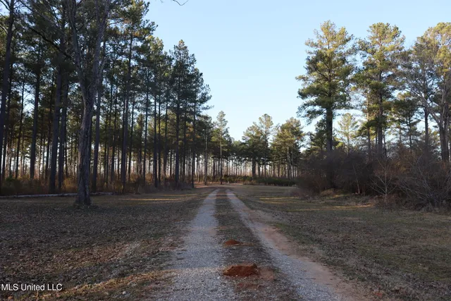 $4,199,000 | 1992 Peavy Road South, Chunky, MS 39323
