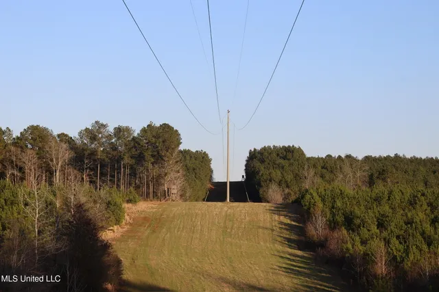 $4,199,000 | 1992 Peavy Road South, Chunky, MS 39323