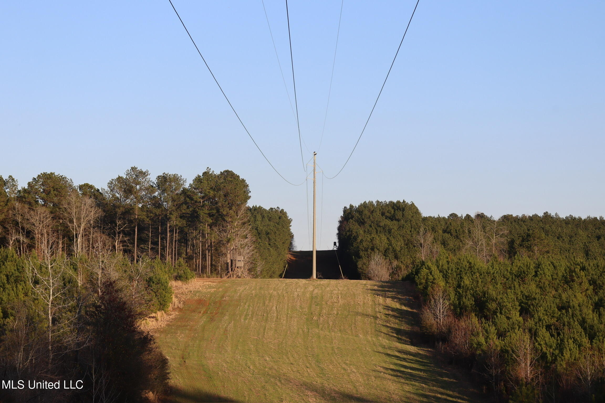 1992 Peavy Road South Chunky, MS 39323 - Photo 65 of 80 IMG_4810(1)