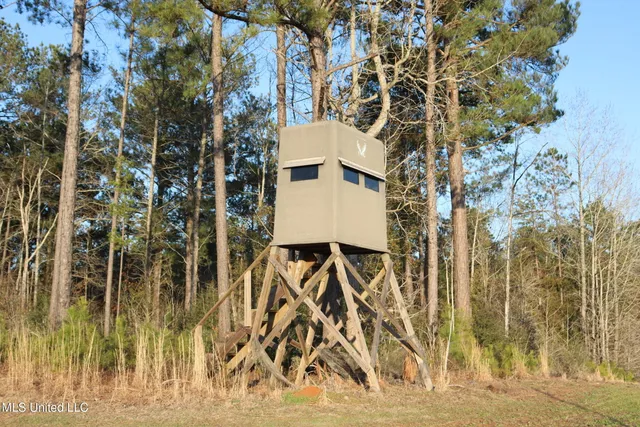 $4,199,000 | 1992 Peavy Road South, Chunky, MS 39323