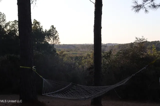 $4,199,000 | 1992 Peavy Road South, Chunky, MS 39323