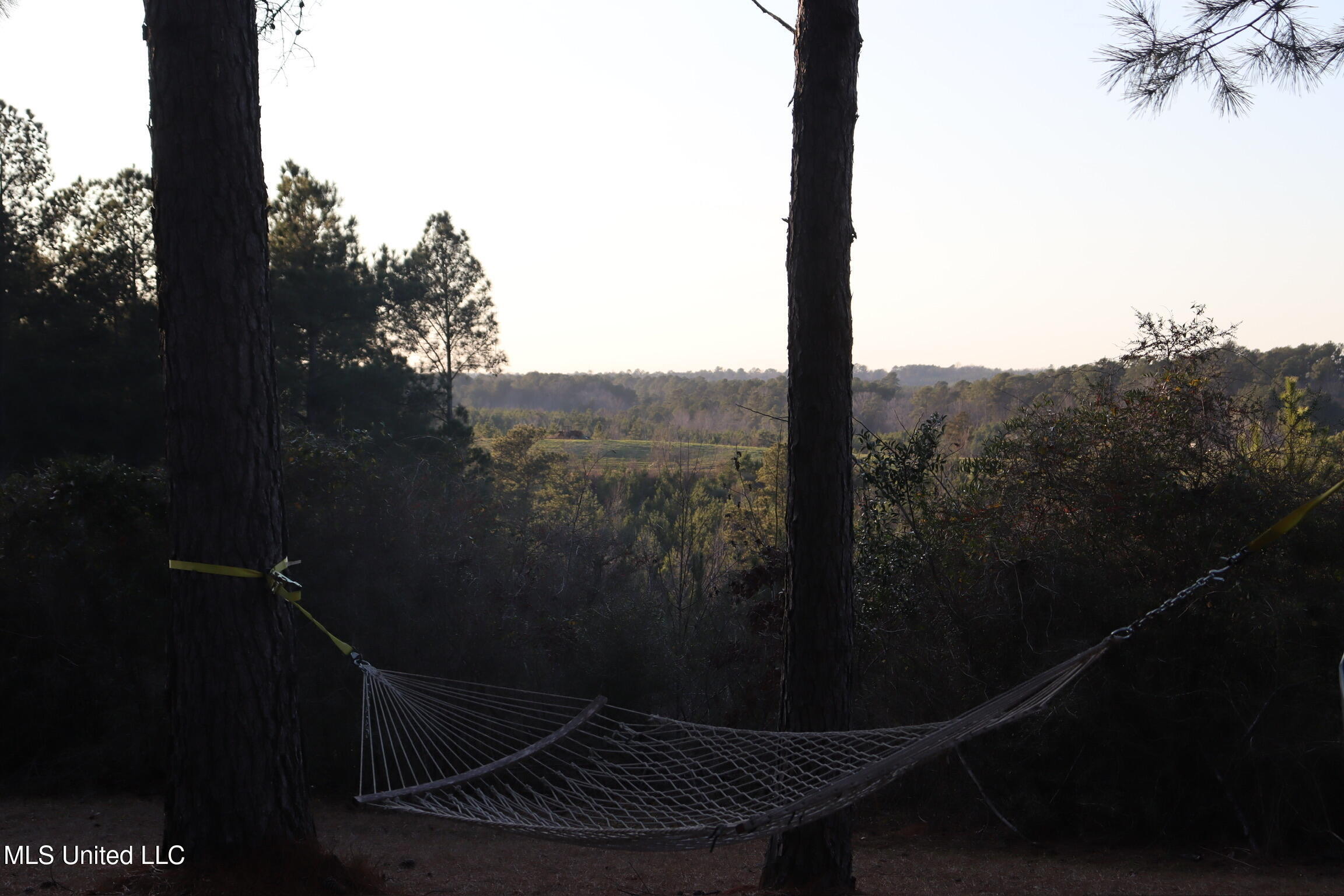 1992 Peavy Road South Chunky, MS 39323 - Photo 69 of 80 IMG_4850(1)