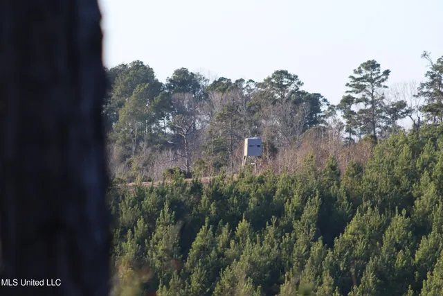 $4,199,000 | 1992 Peavy Road South, Chunky, MS 39323