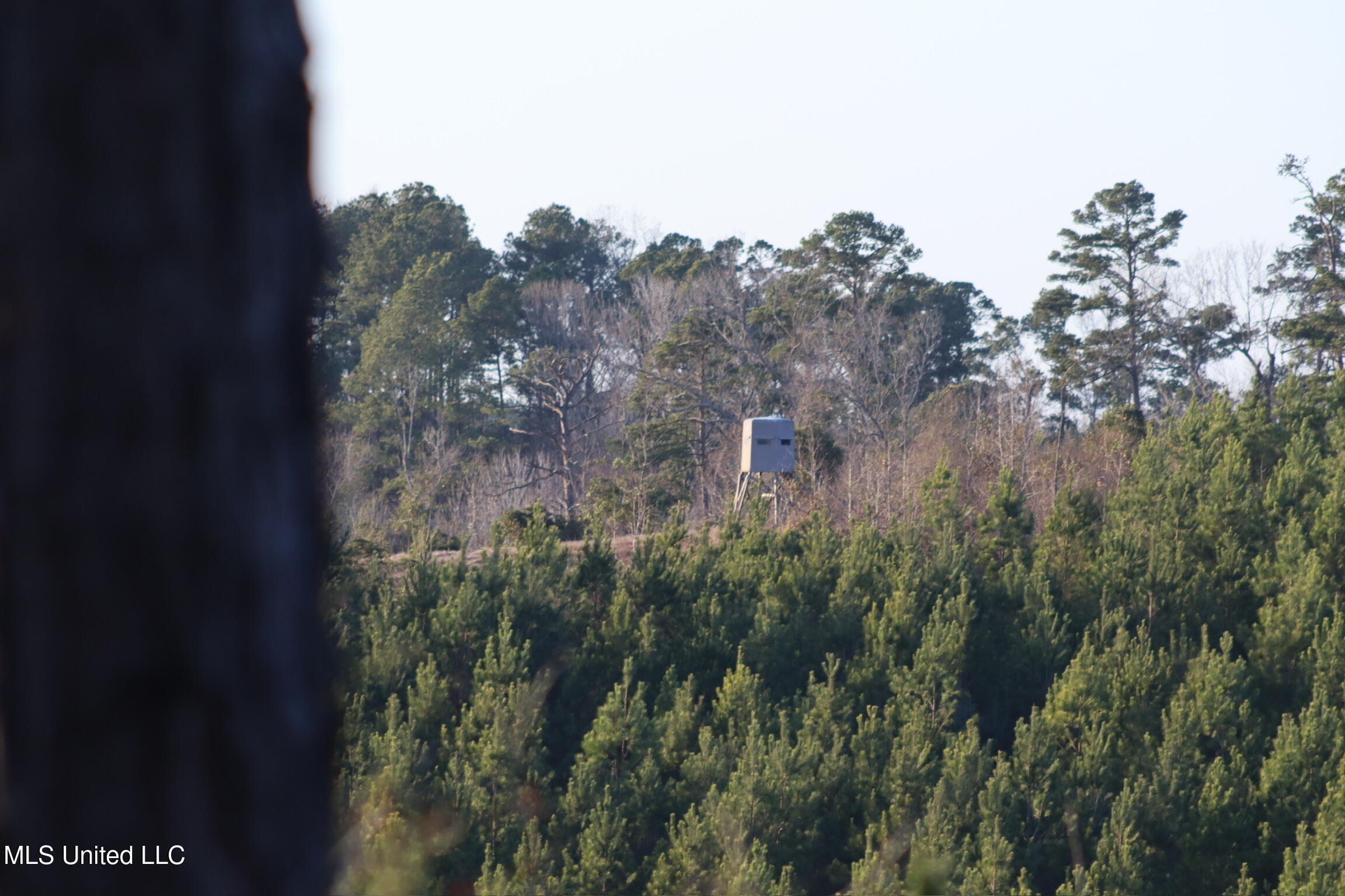 1992 Peavy Road South Chunky, MS 39323 - Photo 70 of 80 IMG_4862