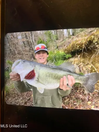 $4,199,000 | 1992 Peavy Road South, Chunky, MS 39323