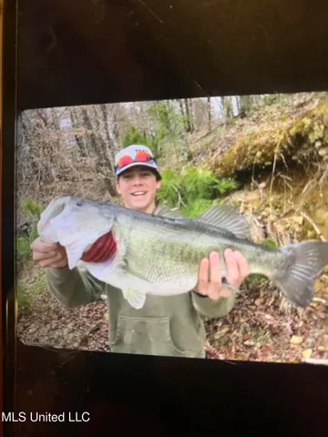 $4,199,000 | 1992 Peavy Road South, Chunky, MS 39323