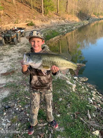 $4,199,000 | 1992 Peavy Road South, Chunky, MS 39323