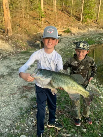 $4,199,000 | 1992 Peavy Road South, Chunky, MS 39323