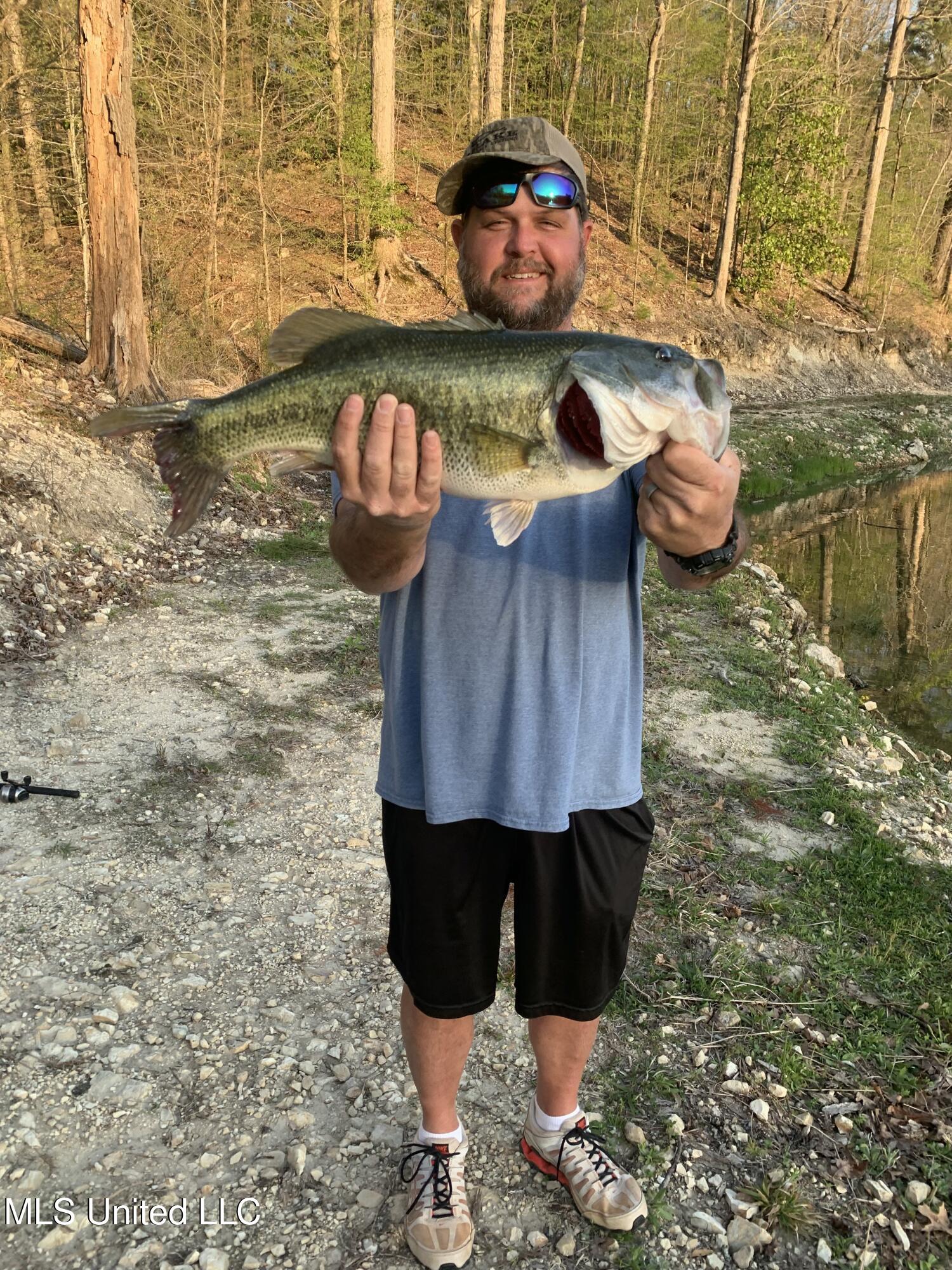 1992 Peavy Road South Chunky, MS 39323 - Photo 79 of 80 IMG_8553