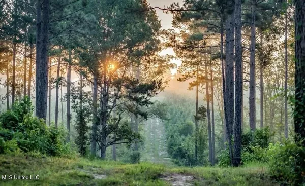 $4,199,000 | 1992 Peavy Road South, Chunky, MS 39323