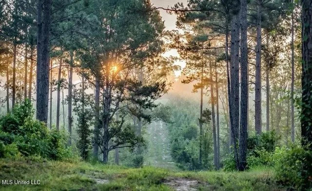 $4,199,000 | 1992 Peavy Road South, Chunky, MS 39323