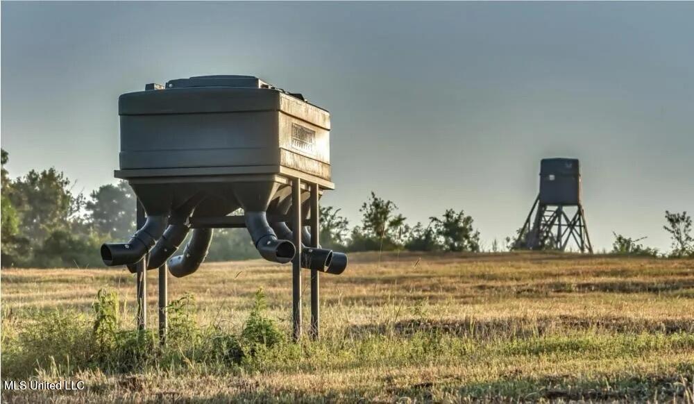 1992 Peavy Road South Chunky, MS 39323 - Photo 10 of 80 File_063