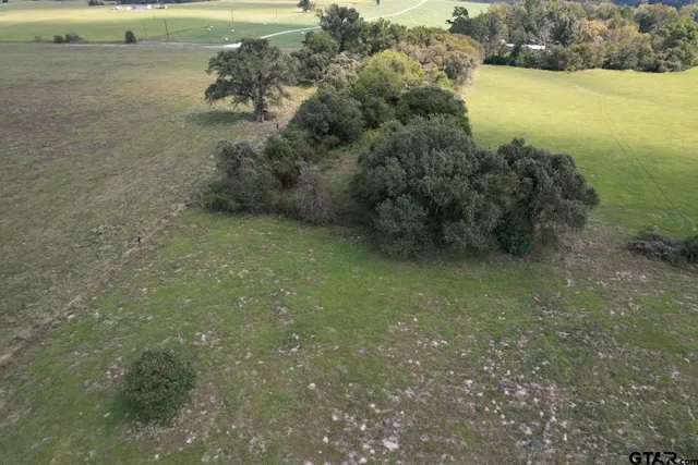 $220,000 | Tbd-b Cr 435 Frankston Tx 75763, Frankston, TX 75763