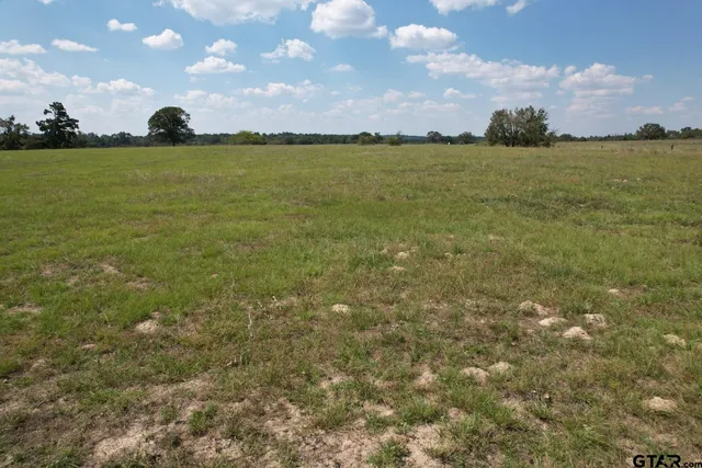 $220,000 | Tbd-b Cr 435 Frankston Tx 75763, Frankston, TX 75763