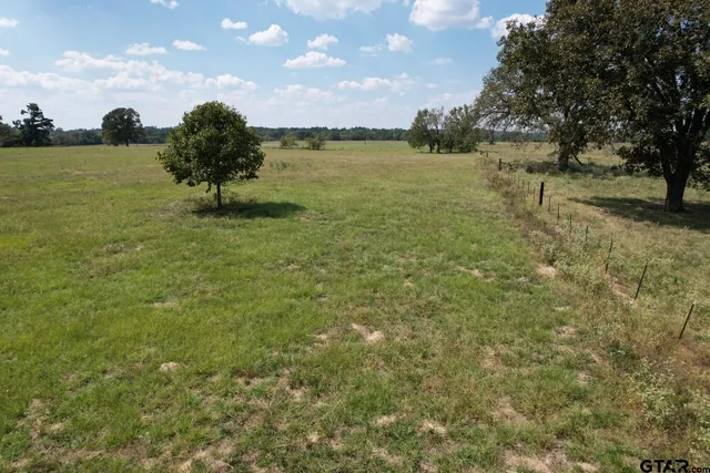 $220,000 | Tbd-b Cr 435 Frankston Tx 75763, Frankston, TX 75763