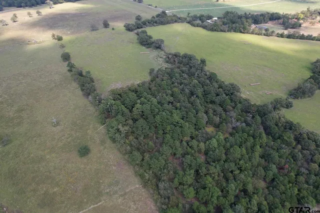 $220,000 | Tbd-b Cr 435 Frankston Tx 75763, Frankston, TX 75763