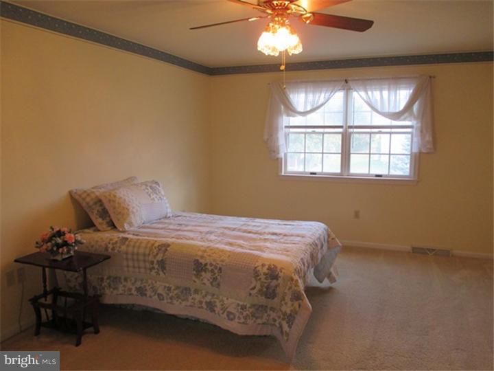 916 North Cacoosing Drive Sinking Spring, PA 19608 - Photo 13 of 24 Master Bedroom