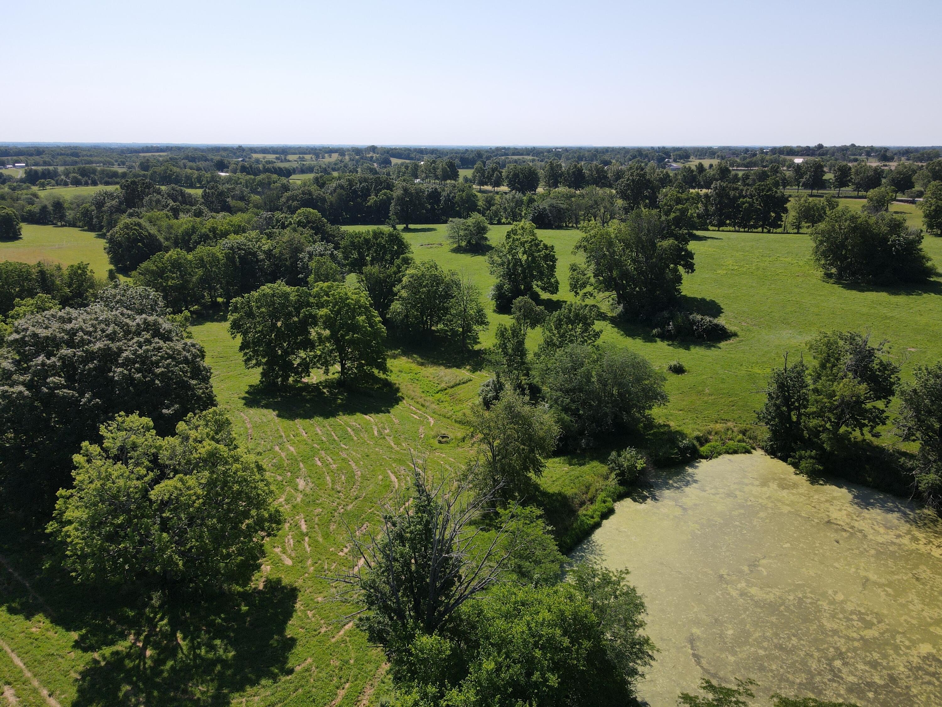 1580 Clintonville Road Paris, KY 40361 - Photo 9 of 13 DJI_0367