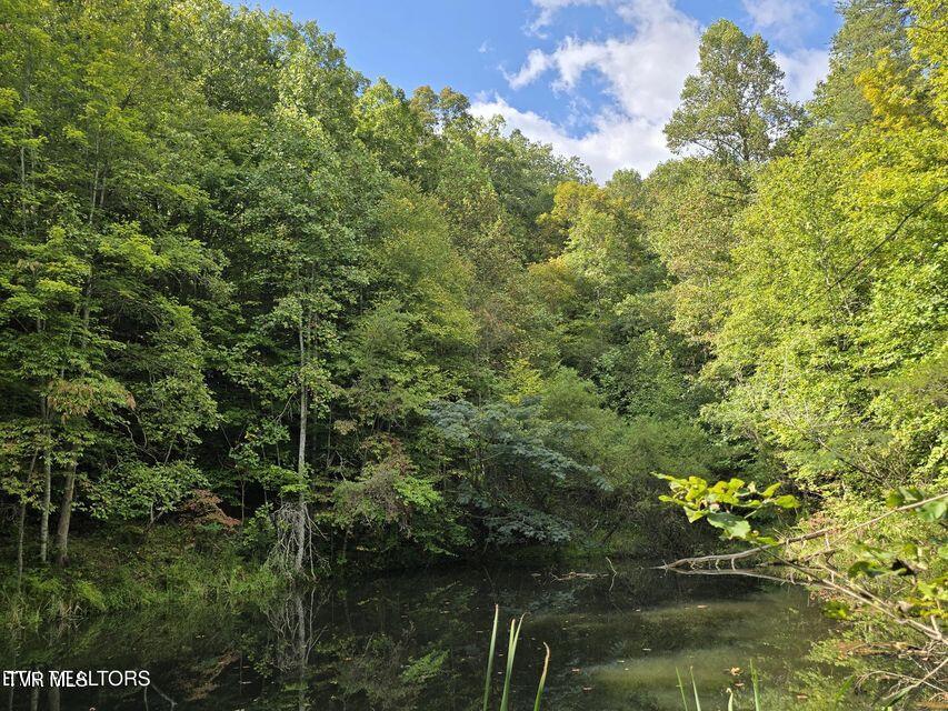 170 Parker Road Eidson, TN 37731 - Photo 43 of 60 43