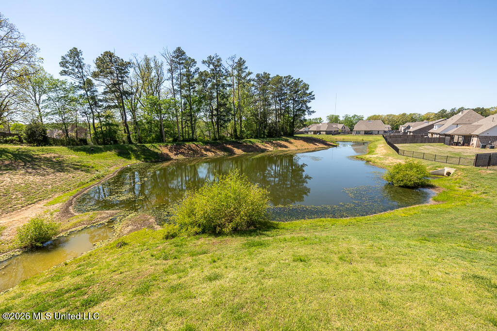 467 Ruskin Loop Hernando, MS 38632 - Photo 28 of 28 Pond View