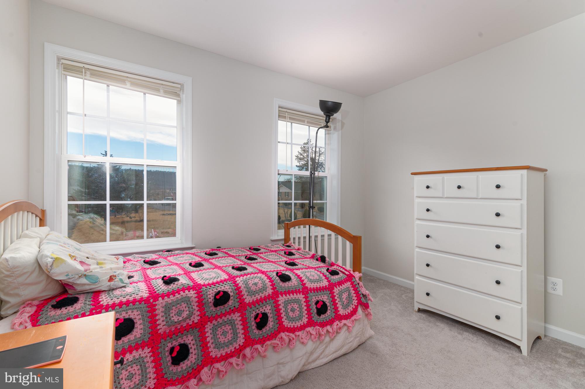 809 Jefferson Pike Brunswick, MD 21716 - Photo 29 of 61