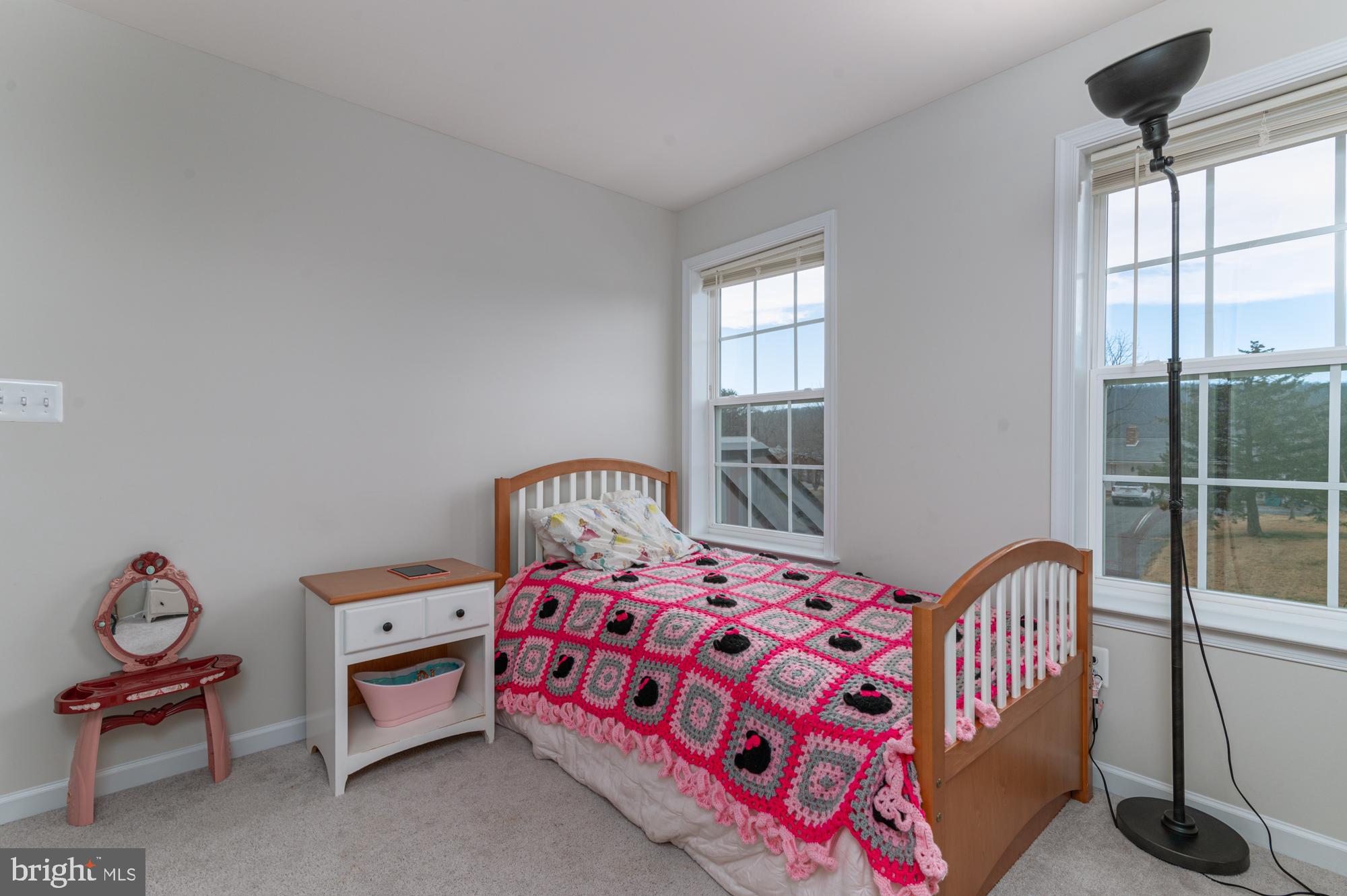 809 Jefferson Pike Brunswick, MD 21716 - Photo 30 of 61