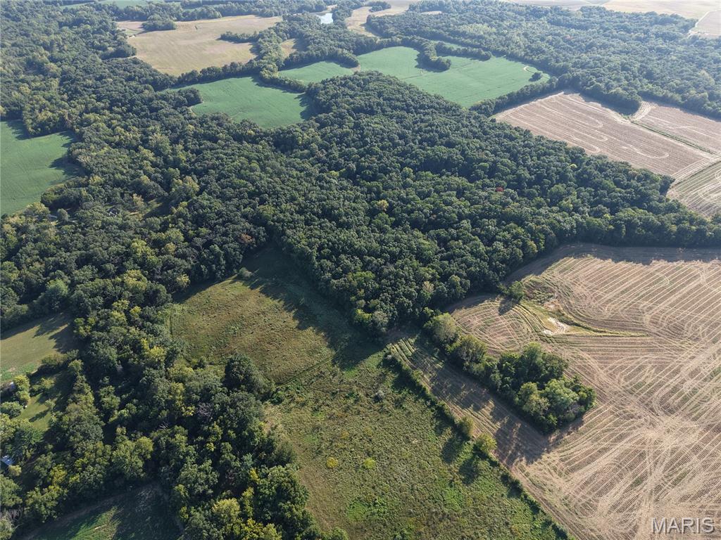 0 Wesbecher Road Ellis Grove, IL 62241 - Photo 15 of 25 Gallery Image 15