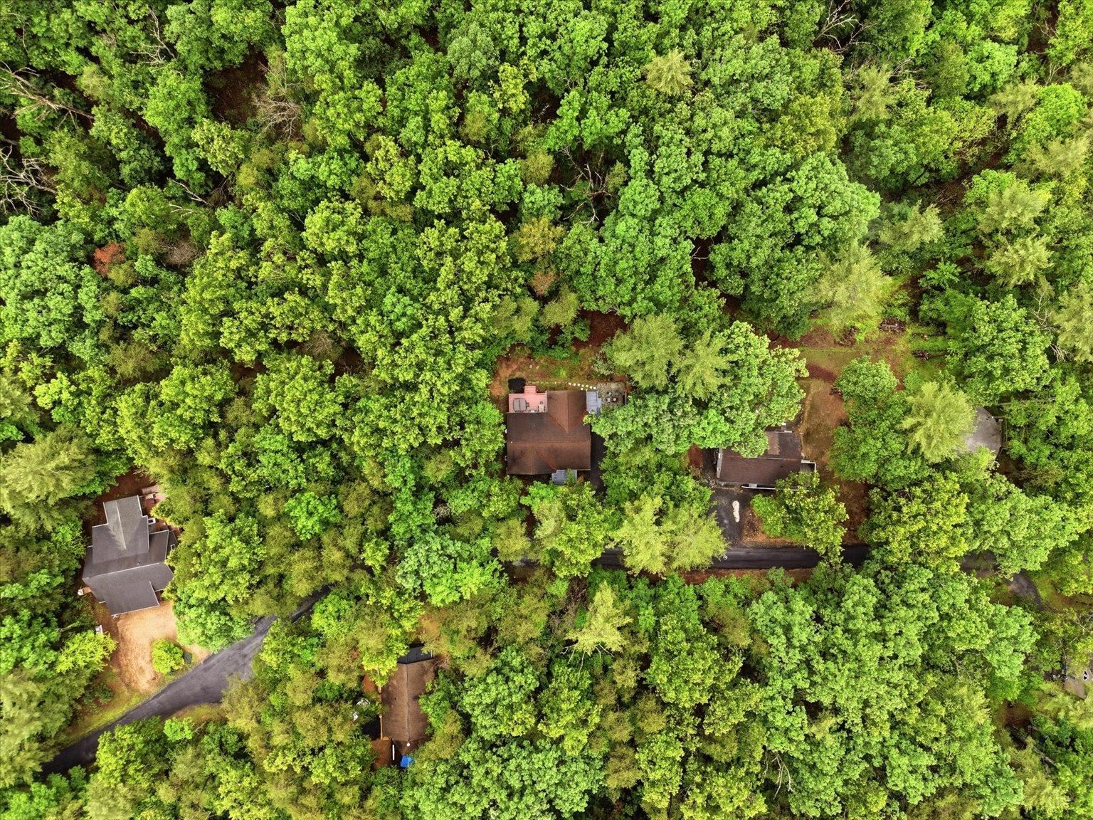 323 Palmer Road Basye, VA 22810 - Photo 47 of 49