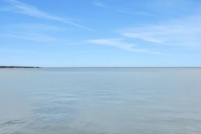 $900,000 | 220 Harbor Run Drive, Coldspring, TX 77331