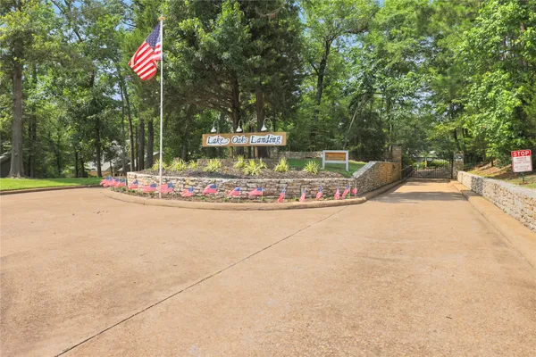 a view of a park with large trees