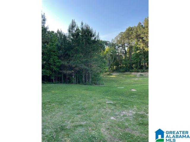 8624 County Line Road Dora, AL 35062 - Photo 13 of 14 Gallery Image 13