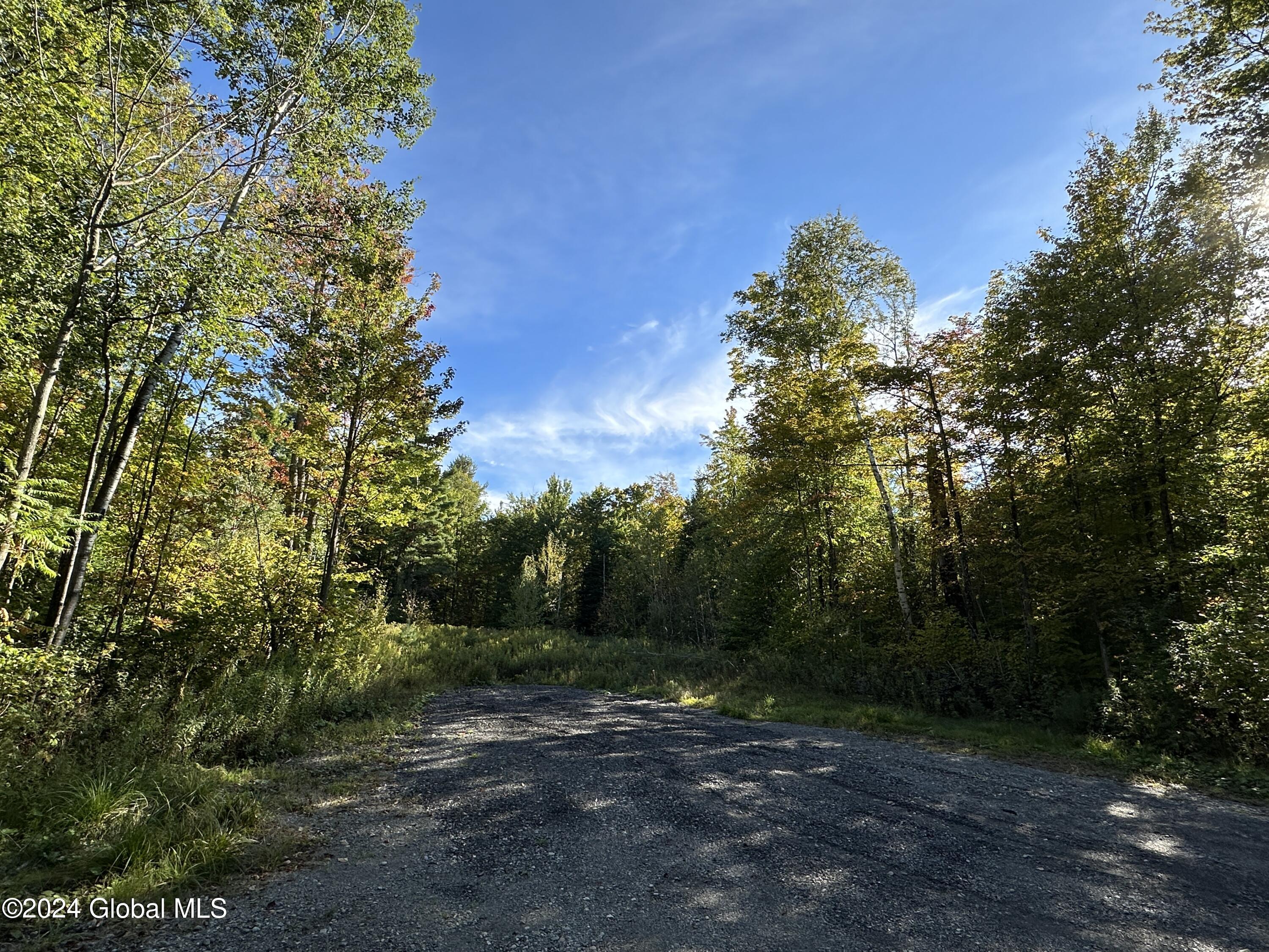 L9 Cold Spring Road Crown Point, NY 12928 - Photo 3 of 10 IMG_5851