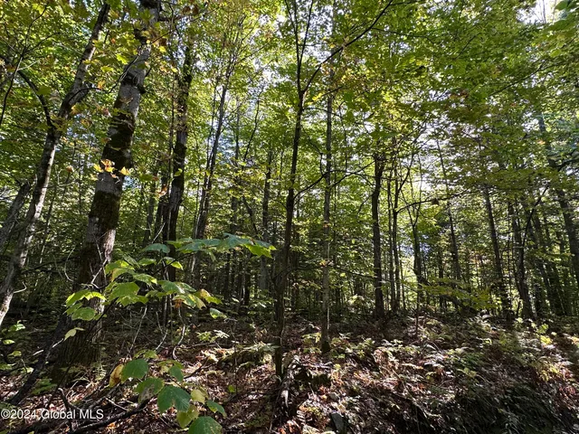 $130,500 | L9 Cold Spring Road, Crown Point, NY 12928