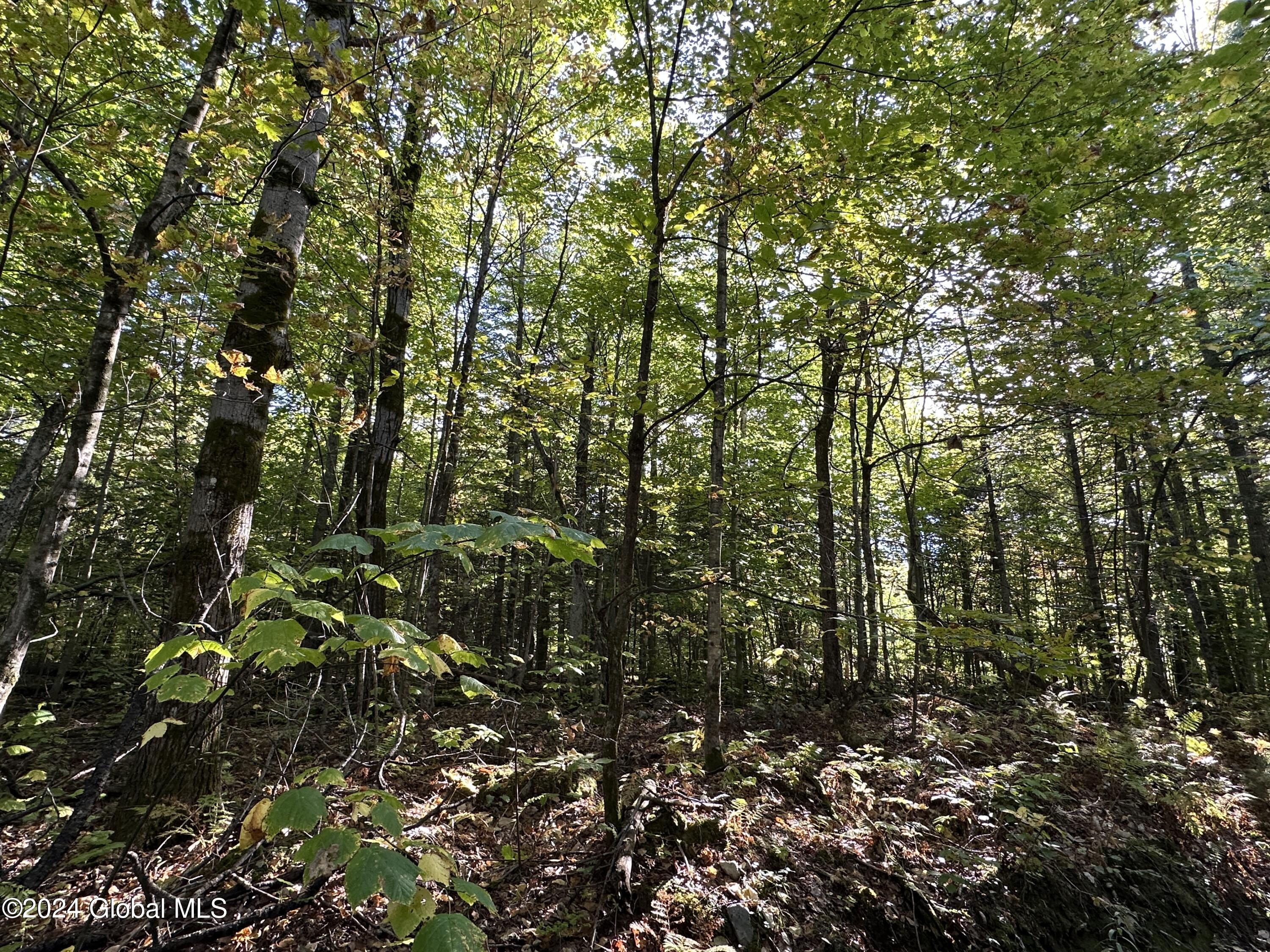 L9 Cold Spring Road Crown Point, NY 12928 - Photo 4 of 10 IMG_5850