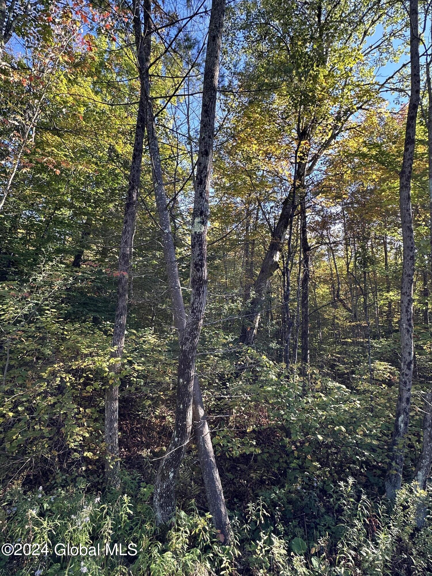 L9 Cold Spring Road Crown Point, NY 12928 - Photo 5 of 10 IMG_5855