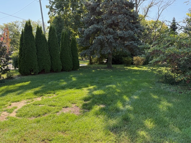 18400 South Parker Road Mokena, IL 60448 - Photo 13 of 31 a view of a yard with a trees