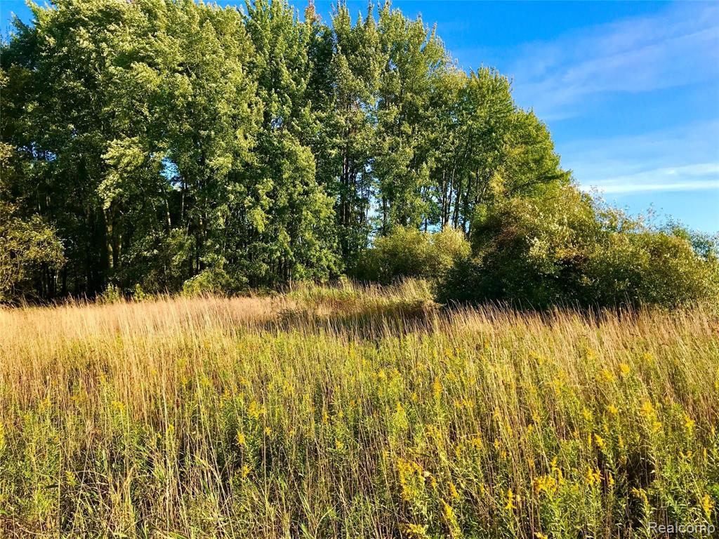 V/l Wasson Road Gregory, MI 48137 - Photo 5 of 16 Gallery Image 5